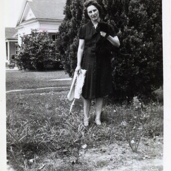 Photo of Bombi Dausin